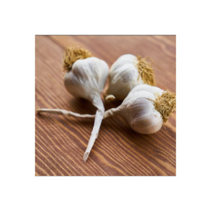 Knoblauch